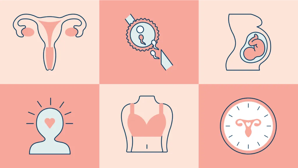 Women's health and fertility acupuncture Byron Bay